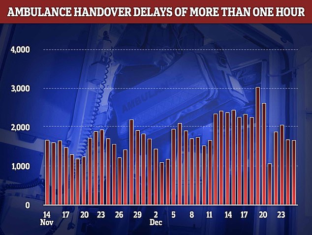 Ambulance handover delays peaked on December 19 with over 3,000 patients forced to wait over an hour in the back of an emergency vehicle unable to be offloaded to a hospital bed