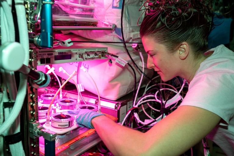 iss066e133016 (Feb. 1, 2022) --- NASA astronaut and Expedition 66 Flight Engineer Kayla Barron checks out plants growing inside the Veggie botany research facility for the Veggie PONDS experiment. The investigation tests ways to grow crops in space to supporting long-term crewed missions to the Moon, Mars and beyond. --- SEE SWNS STORY SWNAiss --- The International Space Station continues its scientific journey orbiting over 200 miles above the Earth???s surface. This past year, spacecraft carried crew from around the world to and from the space station, where they participated in and supported hundreds of scientific investigations and technology demonstrations. From deploying CubeSats to studying fluid dynamics in space, the orbiting lab expanded its legacy of science and discovery for the benefit of humanity. Look back at some of the best photos of breakthrough science the crew members conducted in 2022.