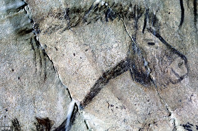 A horse drawn onto the wall of Niaux Cave (Ariege, France) around 15,000 years ago. Ice Age hunter-gatherers used cave paintings to record sophisticated information about the world