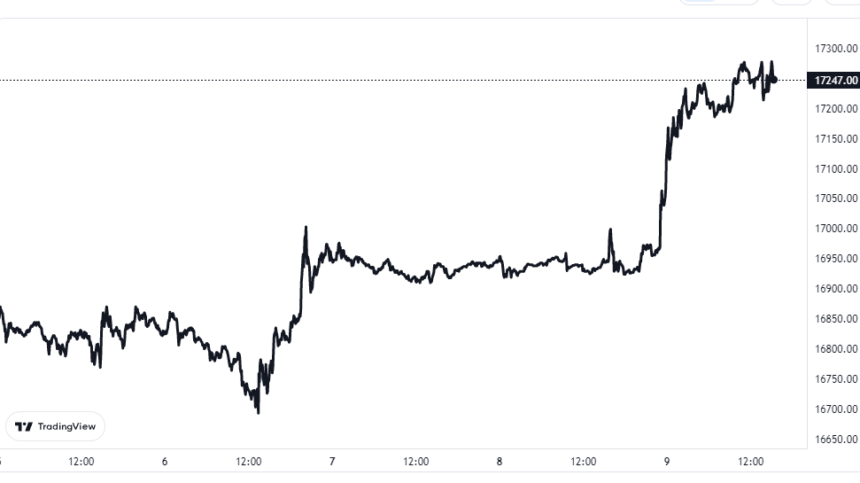 Bitcoin Price Chart