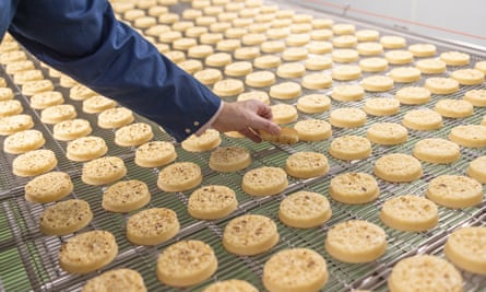 Crumpets at the Warburtons factory.