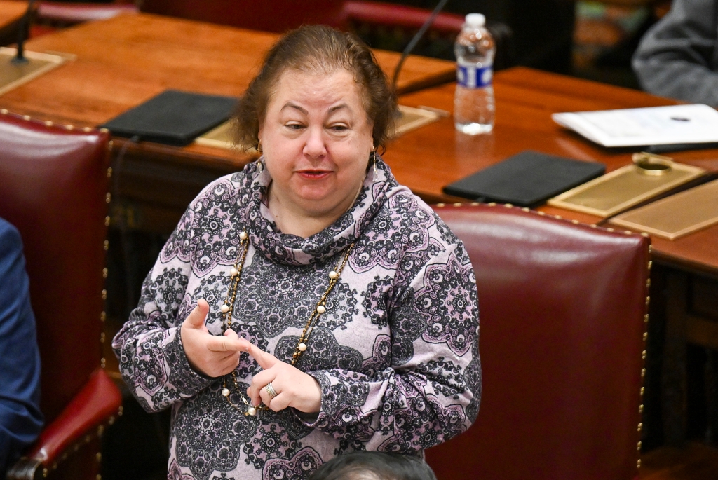 Liz Krueger in a purple pattern blouse speaking on the floor of the NYS Senate in Albany