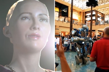 Inside Roboland, the US' first amusement park that lets you hang with robots