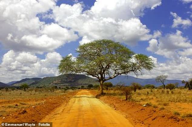 In contrast, the Republic of Chad (pictured), a country at the crossroads of north and central Africa, has the shortest life expectancy