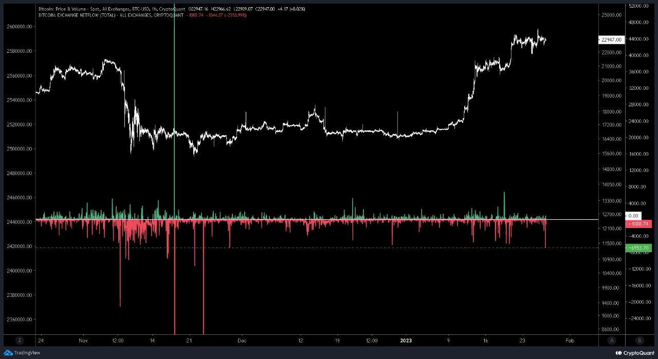 Bitcoin Exchange Netflow