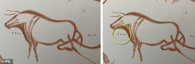 Lines and dots which decorate some of our most famous cave paintings (circled above) have finally been deciphered as the world¿s earliest calendar