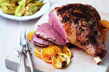 Best practice on keeping cooked turkey in the fridge or freezer