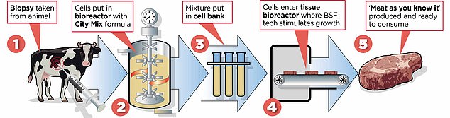 To create their steak fillets, scientists take cells from living cows using painless biopsies. These cells are placed into a bioreactor, where they are added to a chemical growth agent called 'City-Mix', which increases the number of cells. Once the number of cells increases enough, the product begins to resemble a normal steak