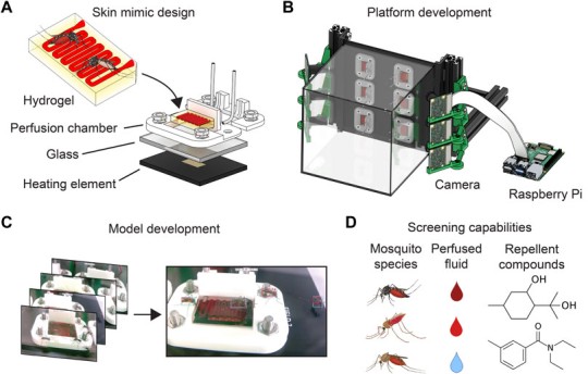 Illustration showing the mosquitoes feeding on the hydrogels (Picture: Janson et al)