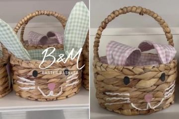 Mums go wild for B&M's Easter baskets - they're super cute and an amazing price