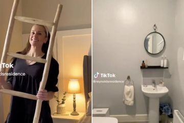 DIY fan transforms small & windowless bathroom into boujee bog with savvy hacks