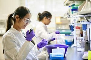 Two researchers in agriculture innovation lab