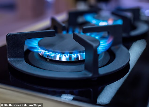 Hot topic: British Gas owner Centrica is set to post record annual profits of around £3 billion