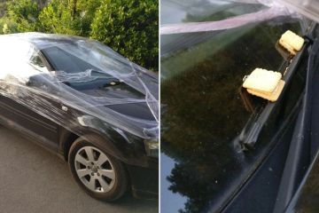 Driver parked on double yellow lines suffers 'most British revenge ever'