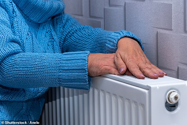 My hands, feet and nose get very cold ¿ my hands can go white with cold, even in the summer! (stock image)