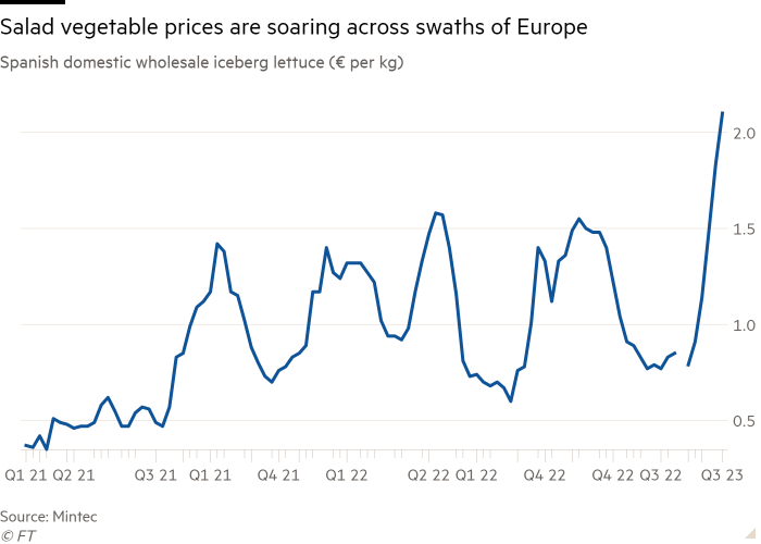 Line chart of Spanish domestic wholesale iceberg lettuce (€ per kg) showing Salad vegetable prices are soaring across swaths of Europe