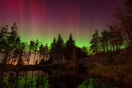 The aurora borealis at Burgie Arboretum in Forres, Moray.