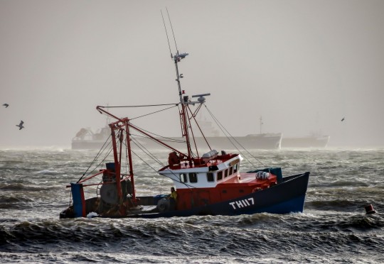 Trawler