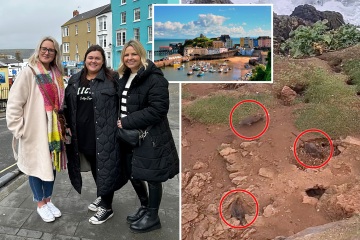 Inside pretty seaside town overrun by ‘super rats’ that terrorise locals