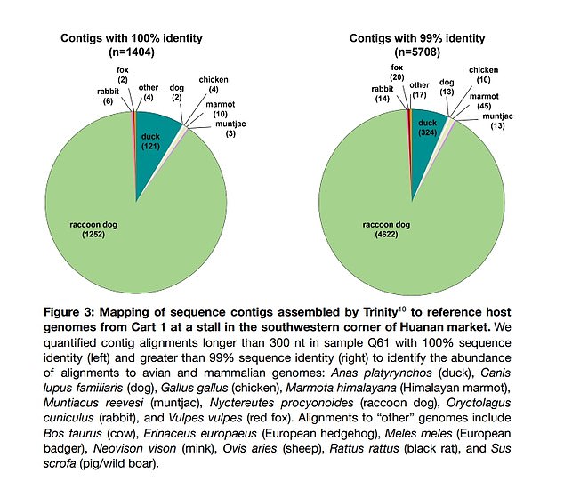 Racoon dogs made up more than 80 percent of Covid samples that researchers could identify a species for with 99 percent confidence or more