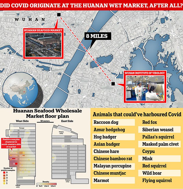 The question of whether the global outbreak began with a spillover from wildlife sold at the market or leaked out of the Wuhan lab just eight miles across the Yangtze River has given rise to fierce debate about how to prevent the next pandemic. New studies point to a natural spillover at the Huanan wildlife market. Positive swab samples of floors, cages and counters also track the virus back to stalls in the southwestern corner of the market (bottom left), where animals with the potential to harbour Covid were sold for meat or fur at the time (bottom right)