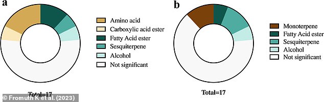 Left: Proportion of the chemical types in an amber ale that showed significant differences in abundance between bottles and cans in the first sample. Right: Proportion of the chemical types in an IPA that showed significant differences in abundance between bottles and cans in the first sample