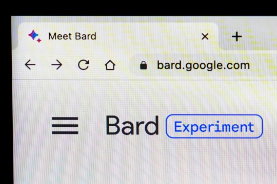 Google Bard