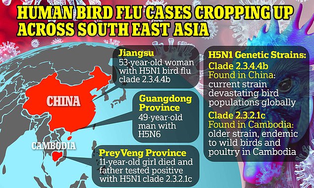 Concerns about a potential spillover have been brewing in recent weeks. A Cambodian girl died from the virus and her father tested positive. Scientists on the ground said the strain they were infected with had mutations that made it better at infecting humans