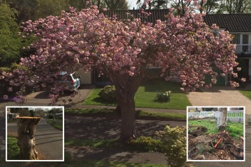 We live on one of UK's ‘prettiest roads’ - it's been left a mess by council