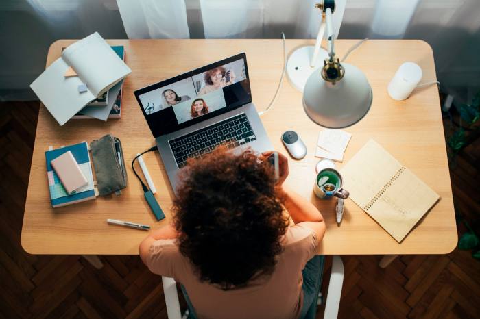 Woman talking to people in a meeting using her laptop.