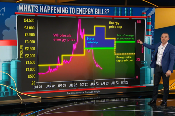 Martin Lewis reveals huge sign whether energy bills will go up next month