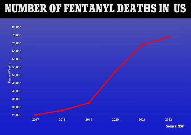 Deaths caused by fentanyl in the US surged in the 2010s. At the start of the decade, 2,666 Americans died of a fentanyl overdose. This figure shot up to 19,413 by 2016. Covid made the situation worse, with a record 72,484 deaths recorded in 2021, followed by another record of 75,000 deaths last year