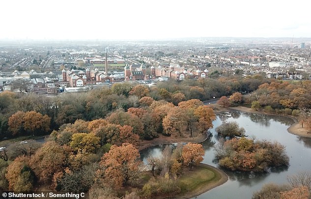 Hotspot: Top of the house price tree for growth in the past decade is Waltham Forest, on the London/Essex border where prices have risen Prices have risen 119%