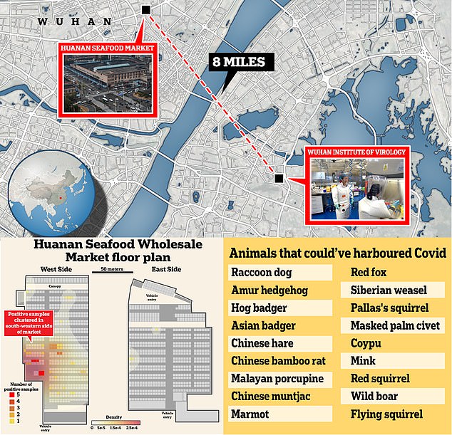 The question of whether the global outbreak began with a spillover from wildlife sold at the market or leaked out of the Wuhan lab just eight miles across the Yangtze River has given rise to fierce debate. Some studies point to a natural spillover at the Huanan wildlife market. Positive swab samples of floors, cages and counters also track the virus back to stalls in the southwestern corner of the market (bottom left), where animals with the potential to harbour Covid were sold for meat or fur at the time (bottom right)