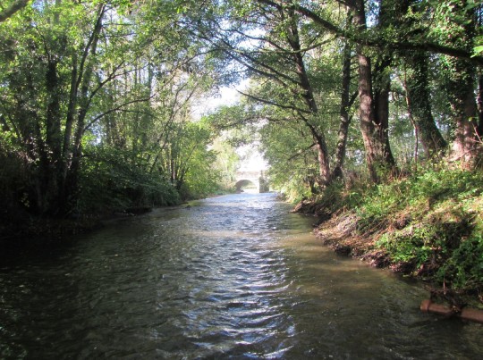 The River Lugg is an important habitat for otters, kingfishers, salmon and other species