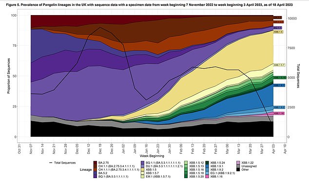 Other Omicron sub-variants include Kraken (XBB.1.5) and Orthrus (CH.1.1). Currently Kraken remains the dominant strain in the UK, as of April 14, causing 44 per cent of cases, while Omicron accounts from 8 per cent and Arcturus, 2.3 per cent, the UKHSA said