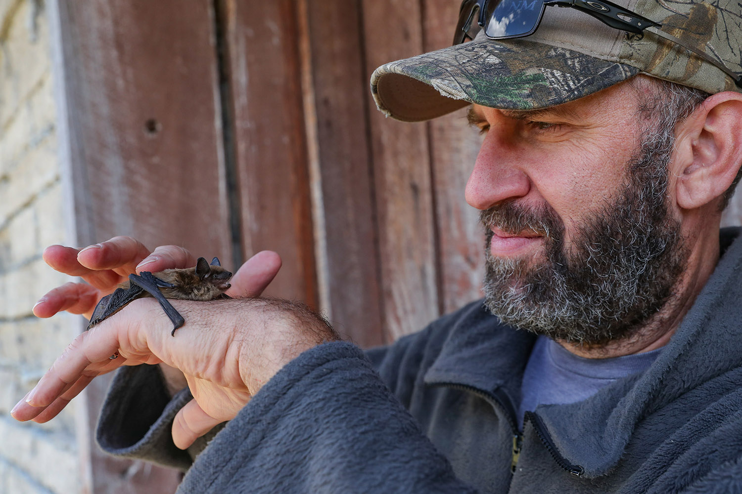 UNK biology professor Keith Geluso will contribute to the new food, agriculture and environment security NSRI focus area.