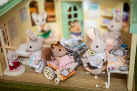 Sylvanian Families in the shop in north London.