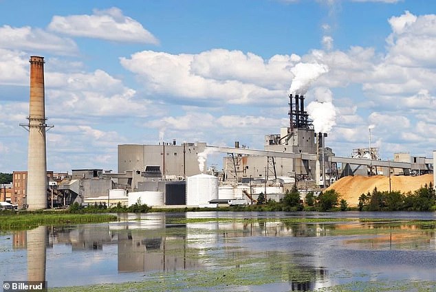 Pictured above is the Billerud paper mill factory in Escanaba, upper peninsula, Michigan, where the outbreak was detected. One person has died, 12 have been hospitalized and there are nearly 100 suspected or confirmed cases