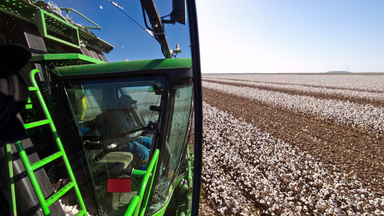 America's struggling cotton industry