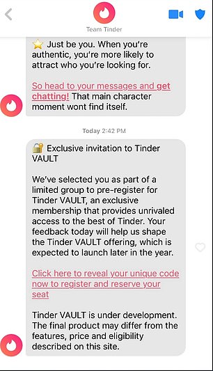 'Tinder VAULT' would go above and beyond the three paid subscriptions already offered to users - Tinder Plus, Tinder Gold and Tinder Premium