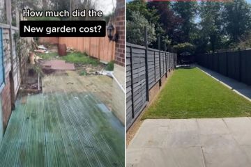 Property developer transforms unruly garden but people all say the same thing