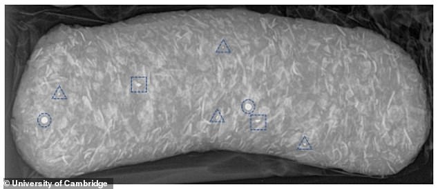 Pictured: X-ray of minced pheasant-based dog food containing lead shot (circled)