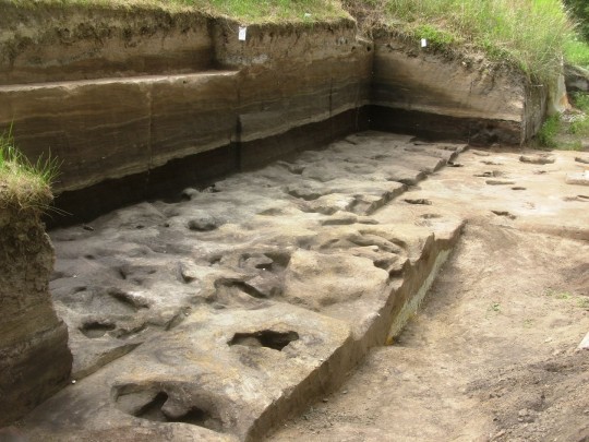 Fossil footprints from the Sch?ningen site 13 II-2 Untere Berme. The Oldest human footprint ever discovered in Germany: 300,000-year-old prints of extinct 'Heidelberg people' are found perfectly preserved 12090699 Oldest human footprint ever discovered in Germany: 300,000-year-old prints of extinct 'Heidelberg people' are found perfectly preserved https://uni-tuebingen.de/universitaet/aktuelles-und-publikationen/pressemitteilungen/newsfullview-pressemitteilungen/article/300000-jahre-alte-momentaufnahme-aelteste-menschliche-fussabdruecke-aus-deutschland-gefunden/