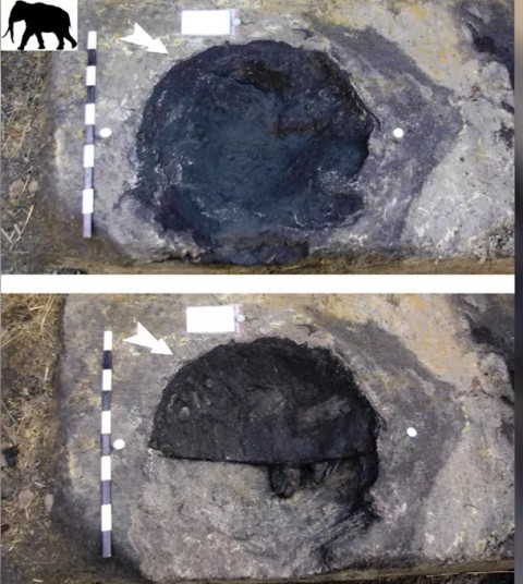 Scientists also found elephant tracks at Schöningen