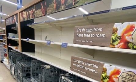 Egg shelves at a branch of Tesco this month.