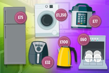 Full list of kitchen appliances in the wrong place & adding £1,460 to bills