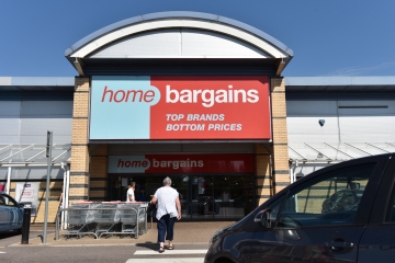 Home Bargains shoppers rushing to buy pet chair that's scanning at 70% off