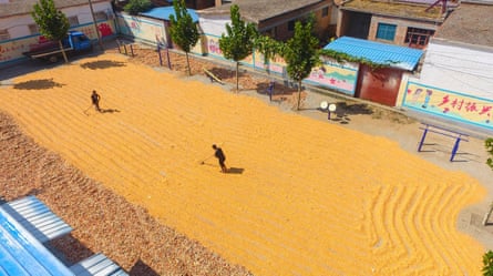 Farmers dry corn in China’s eastern Shandong province in 2020