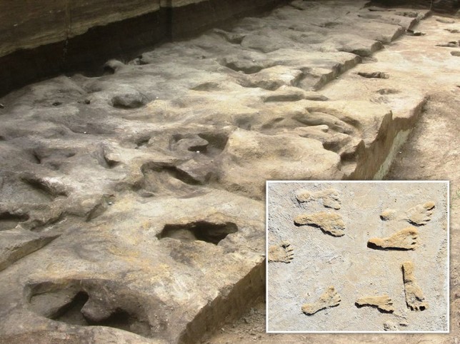 The oldest human footprints ever found 300,000 yrs old in Germany